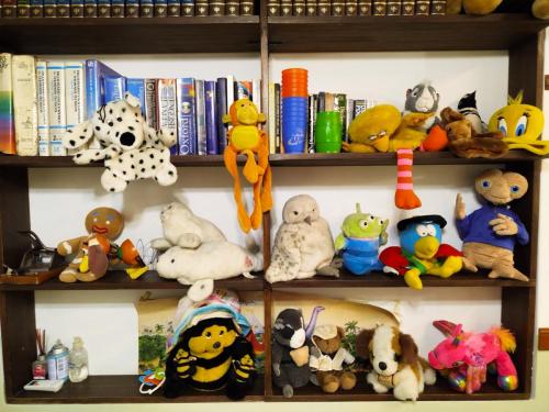 WhatsApp-Image-2025-03-06-at-12.47.41-PM-1